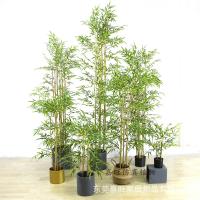 uploads/erp/collection/images/Home Garden/dgjiawang/XU0612804/img_b/XU0612804_img_b_2